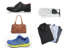 Cut surface illustration