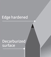Cut surface illustration